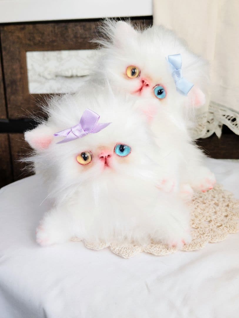 オッドアイ♡エキゾチック双子の子猫ちゃん♡アートドール♡ぬいぐるみ♡