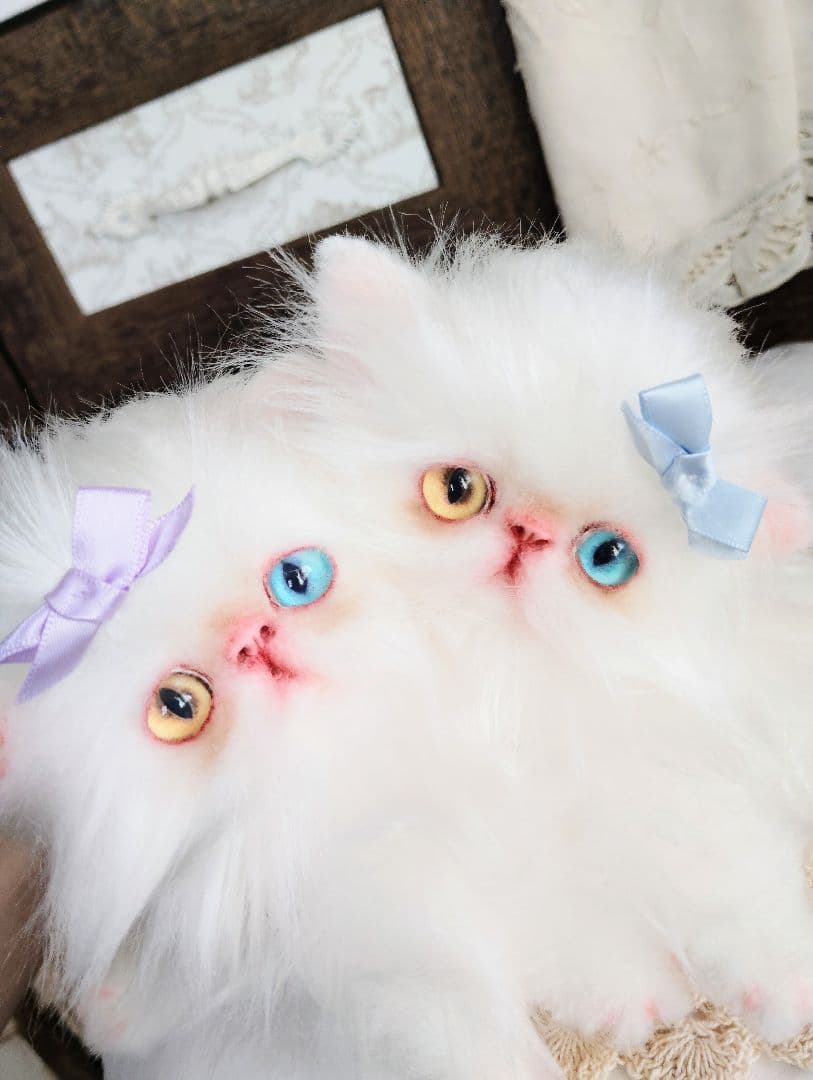 オッドアイ♡エキゾチック双子の子猫ちゃん♡アートドール♡ぬいぐるみ♡