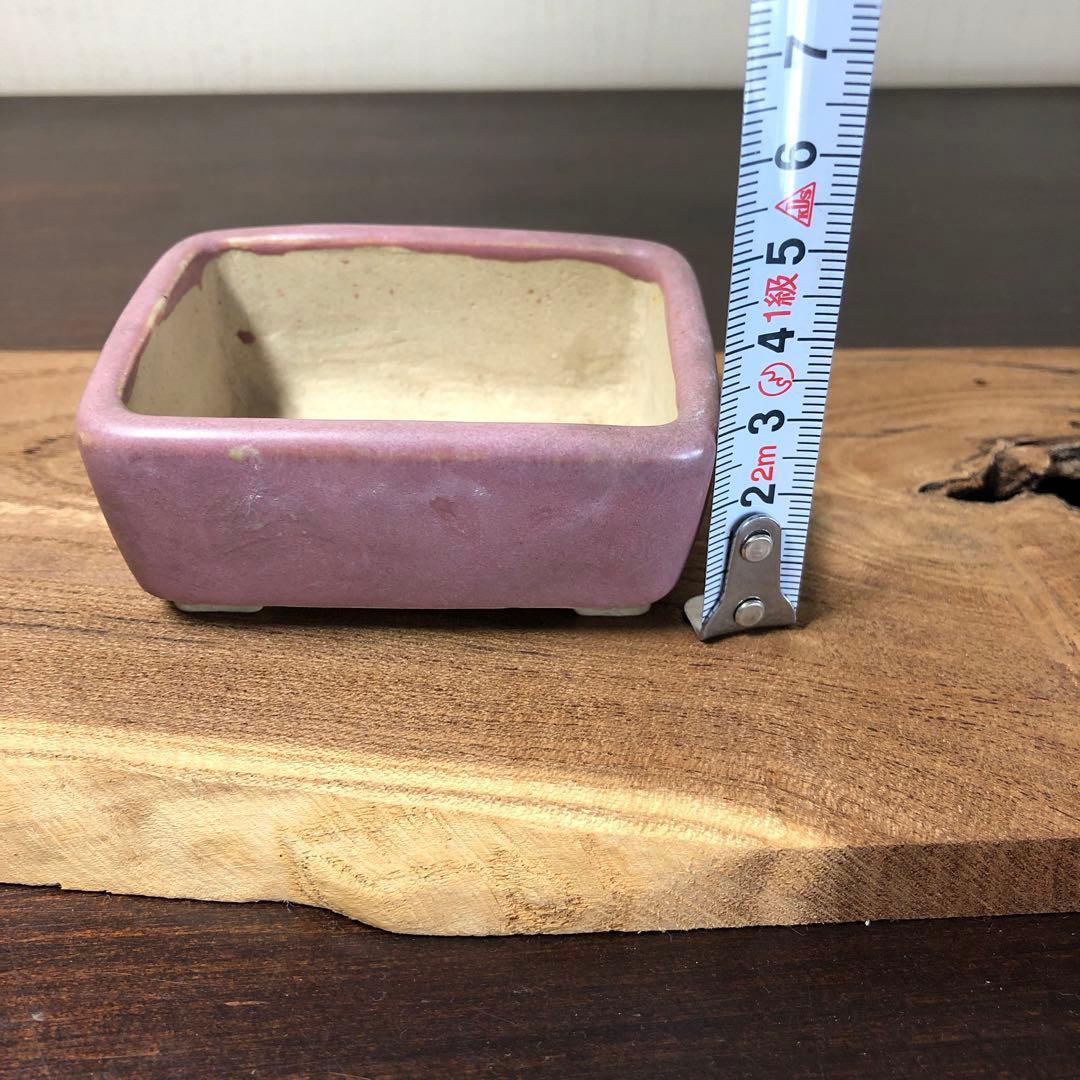 【名品 時代物】岡谷是心　展示会出品作品　　小品盆栽鉢　桃紅釉