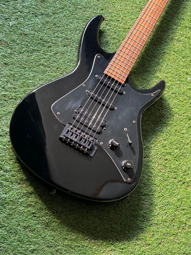 ア*ナ様 ビンテージ　Aria Pro II Black Dog