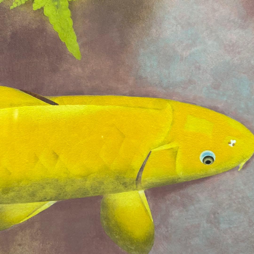 H3 森白甫 「池」 日本画 額 鯉図 美術品