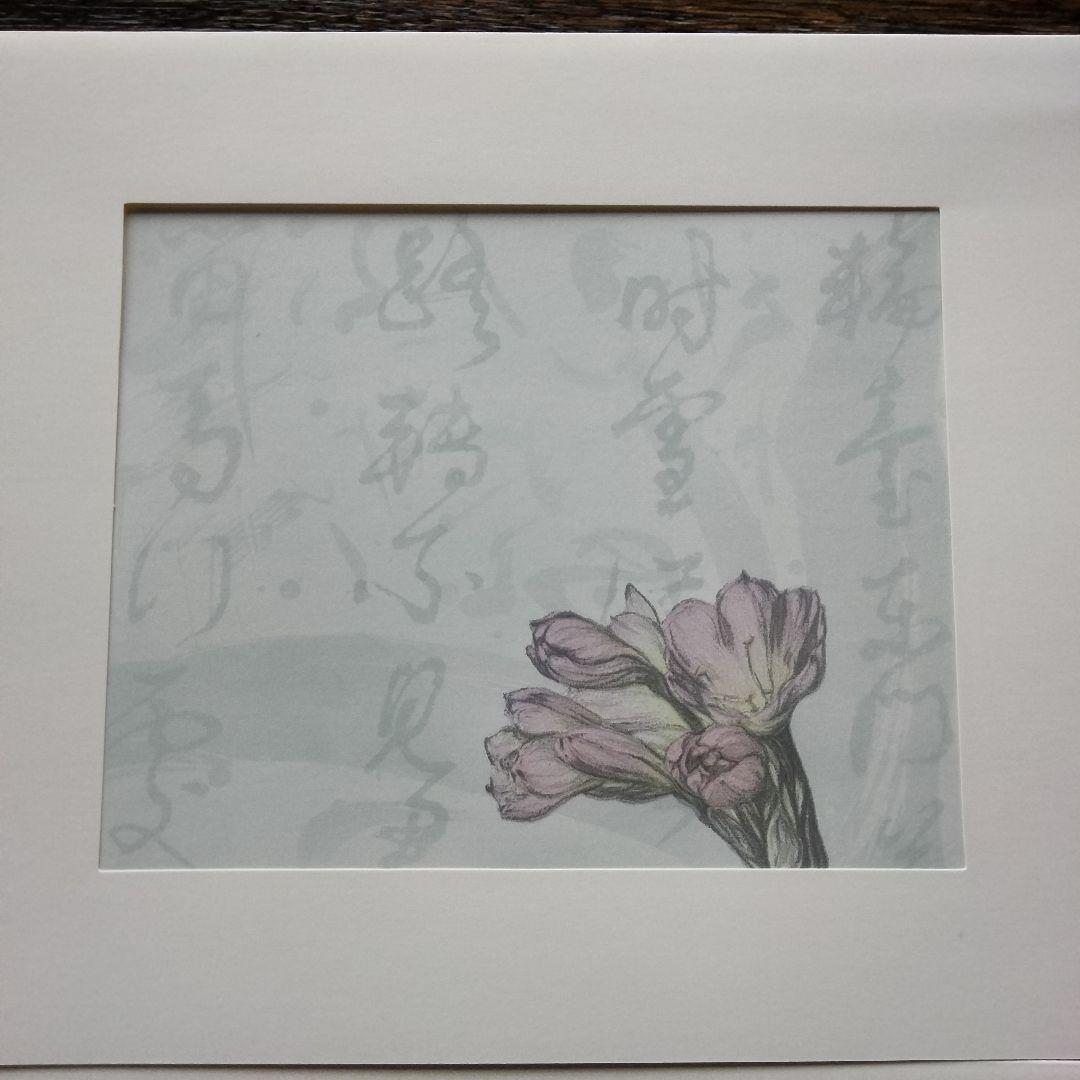 絵画　長春印迹　版畫集　中国　12枚セット　額装　美術品　インテリア
