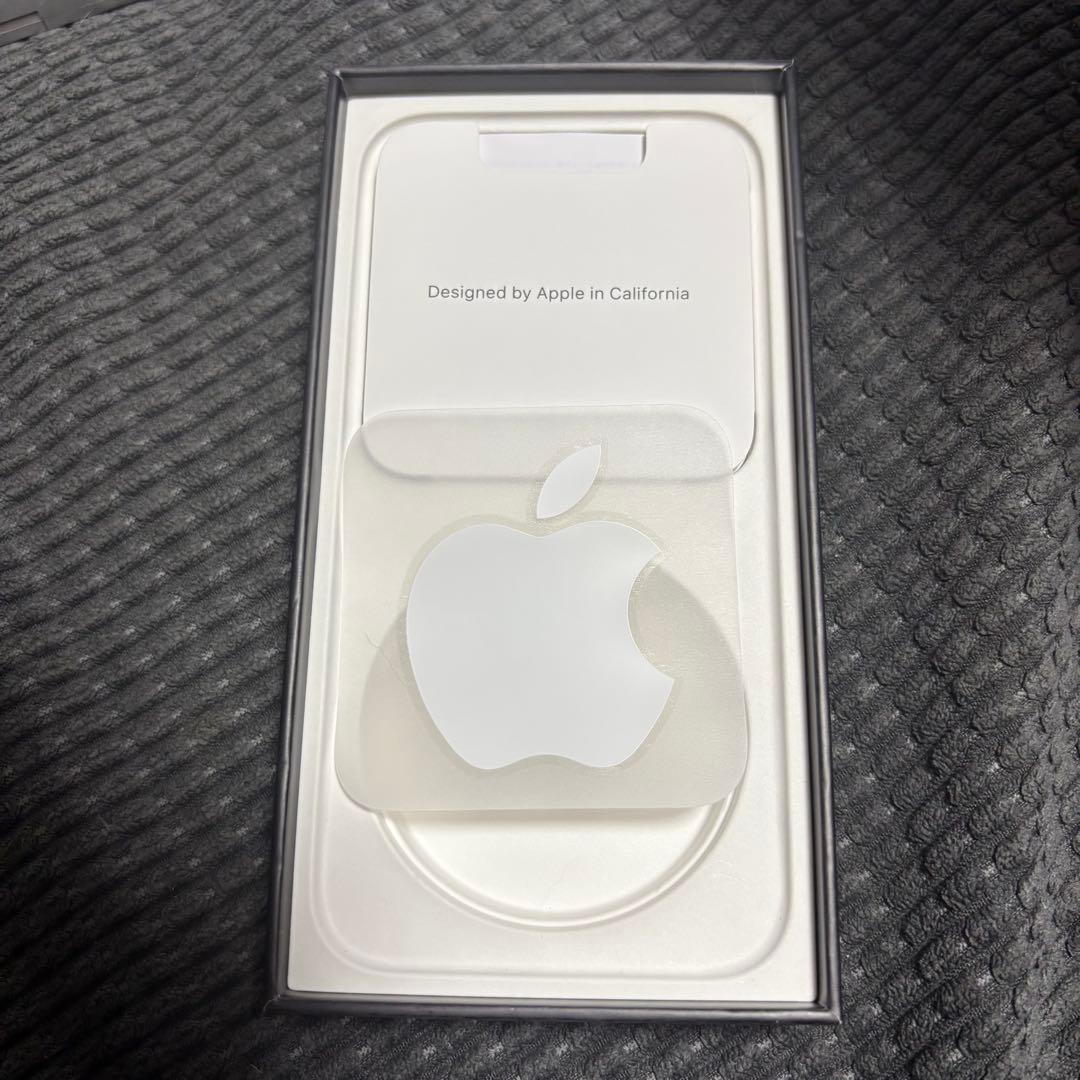 iPhone 13pro シエラブルー　本体256G
