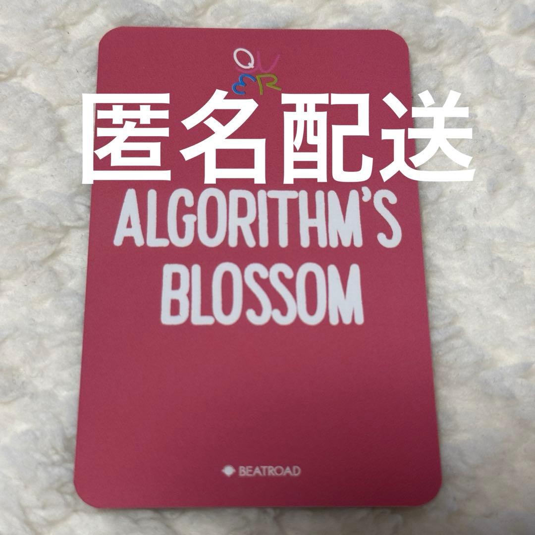 QWER Algorithms Blossom マゼンタ トレカ ヨントン