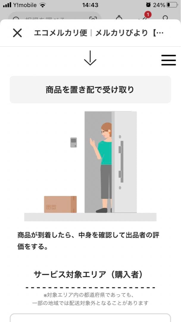 ミモザ　アカシア　銀葉ミモザ　フレッシュ　特特大箱140cm エコメルカリ便指定
