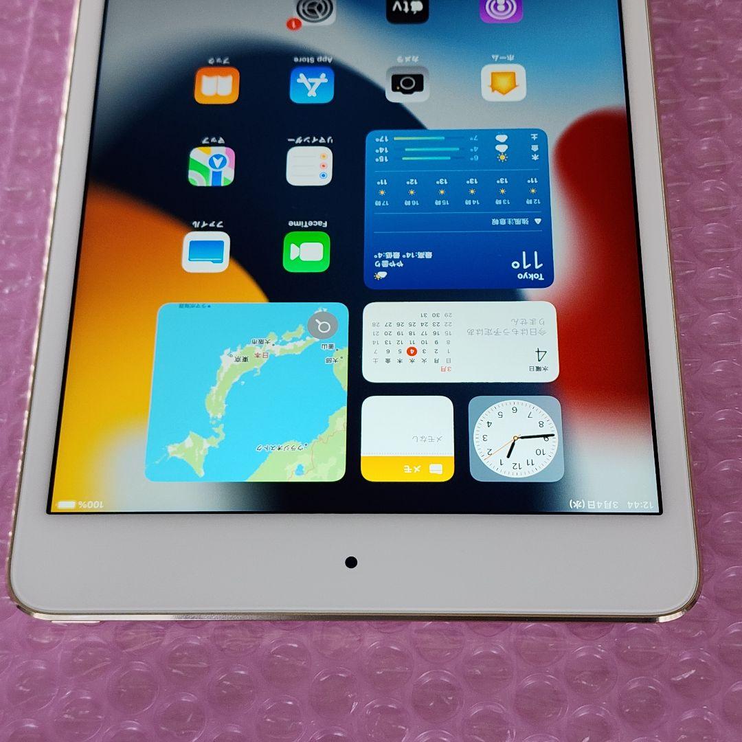 美品　iPad mini4　バッテリー良好　64GB　Wi-Fiモデル