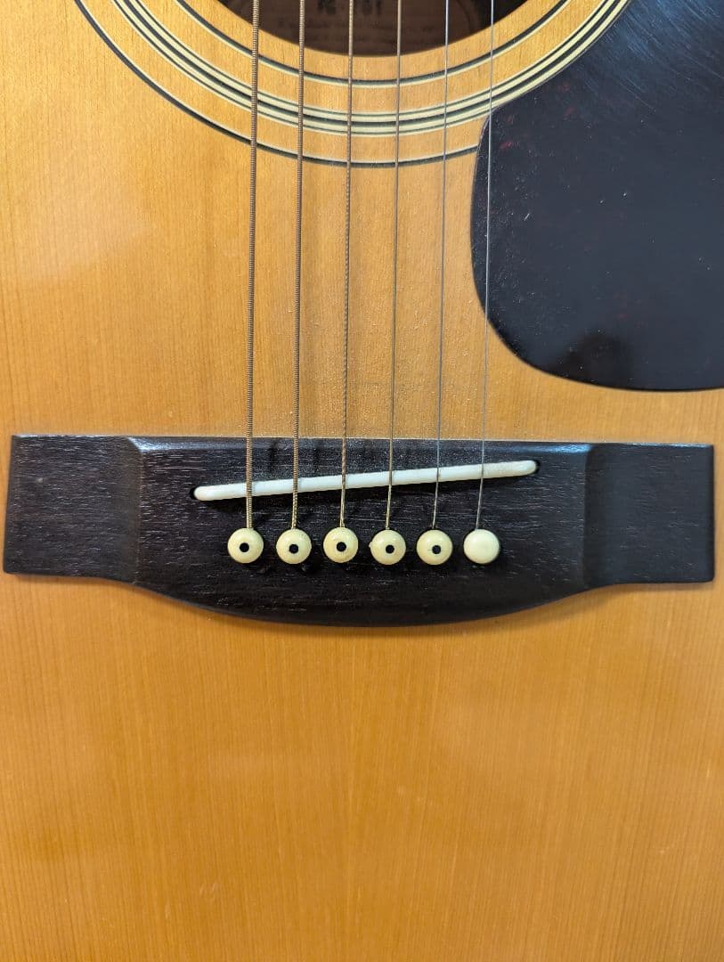 YAMAHA FG-201 アコースティックギター ソフトケース付