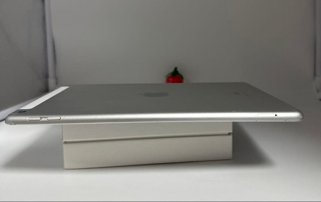 iPad 第5世代 128GB Wi-Fi + Cellular