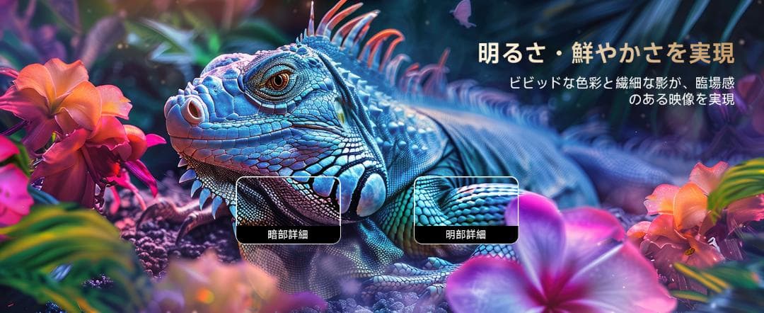 プロジェクター 小型 天井投影 800ASNI 高輝度 1080P 4K対応