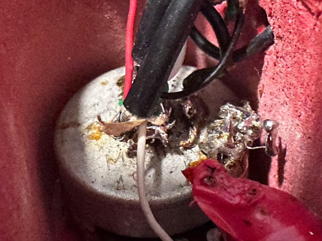 高崎晃　ランダムスター　赤ボディメイプル指板