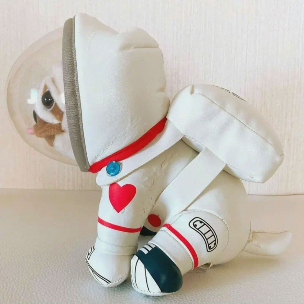 宇宙兄弟 アポ ぬいぐるみ、2wayクッションネックピロー、ポーチ☆4点セット
