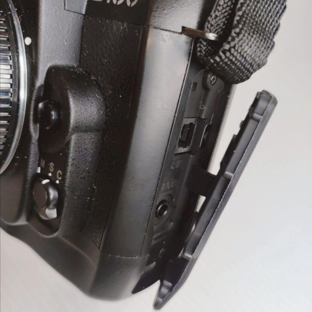 【極美品】 Nikon D100 CCDセンサー フルセット 動作良好