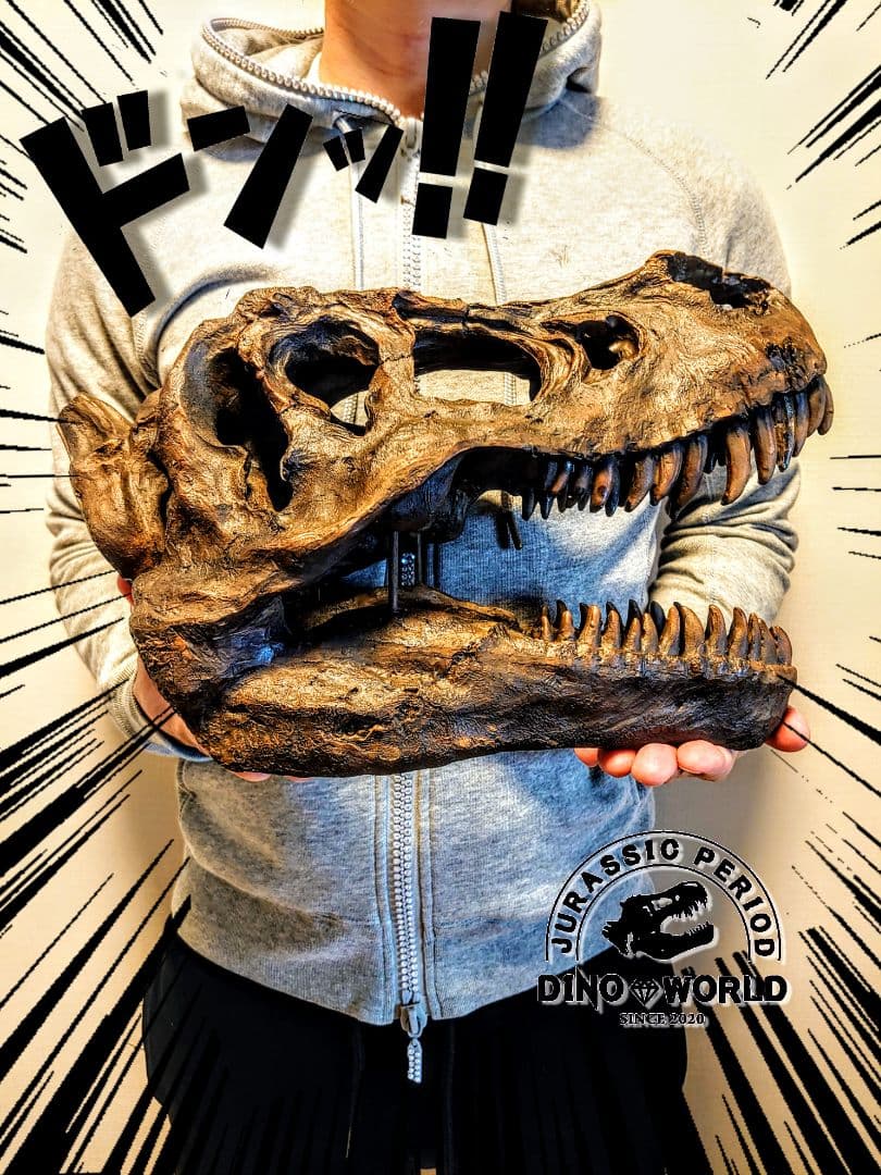 ✨大迫力✨ ティラノサウルス 恐竜の化石 頭骨 インテリア ジュラシックワールド