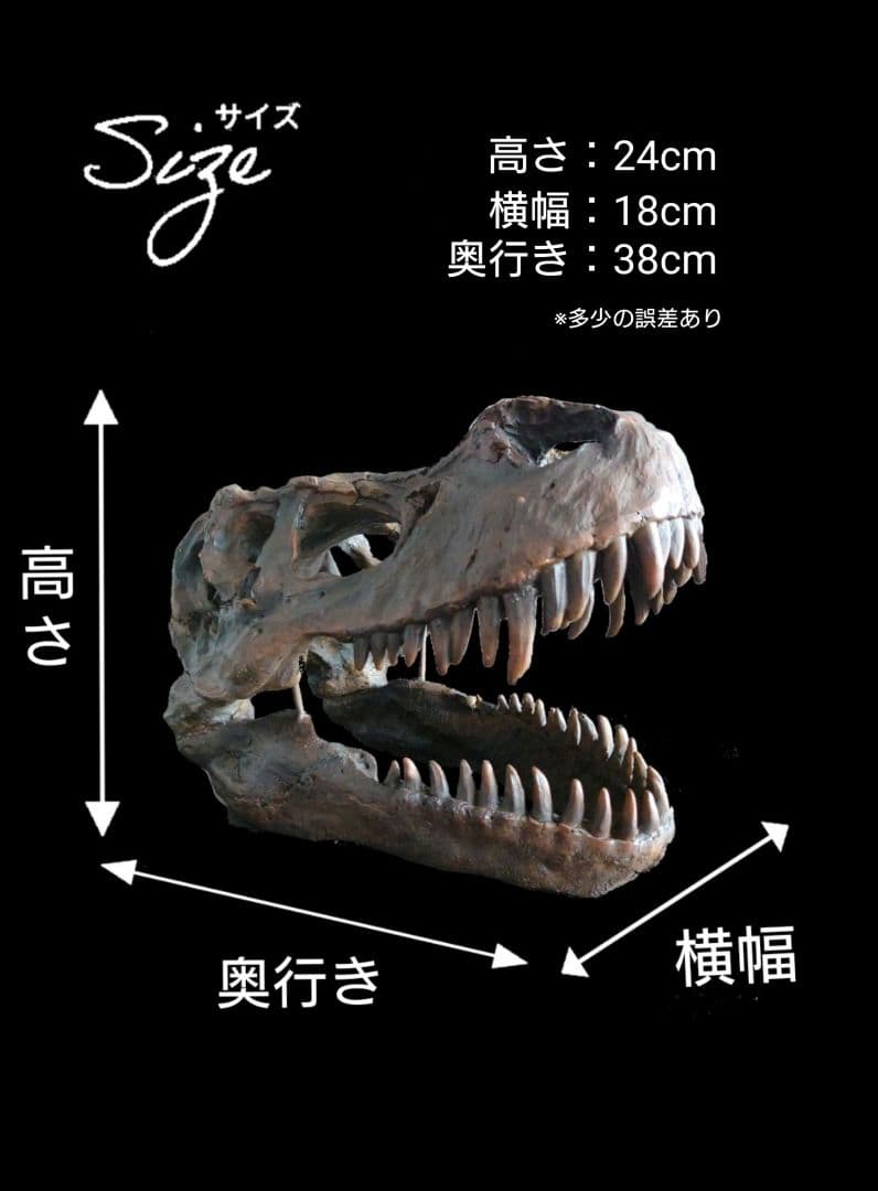 ✨大迫力✨ ティラノサウルス 恐竜の化石 頭骨 インテリア ジュラシックワールド
