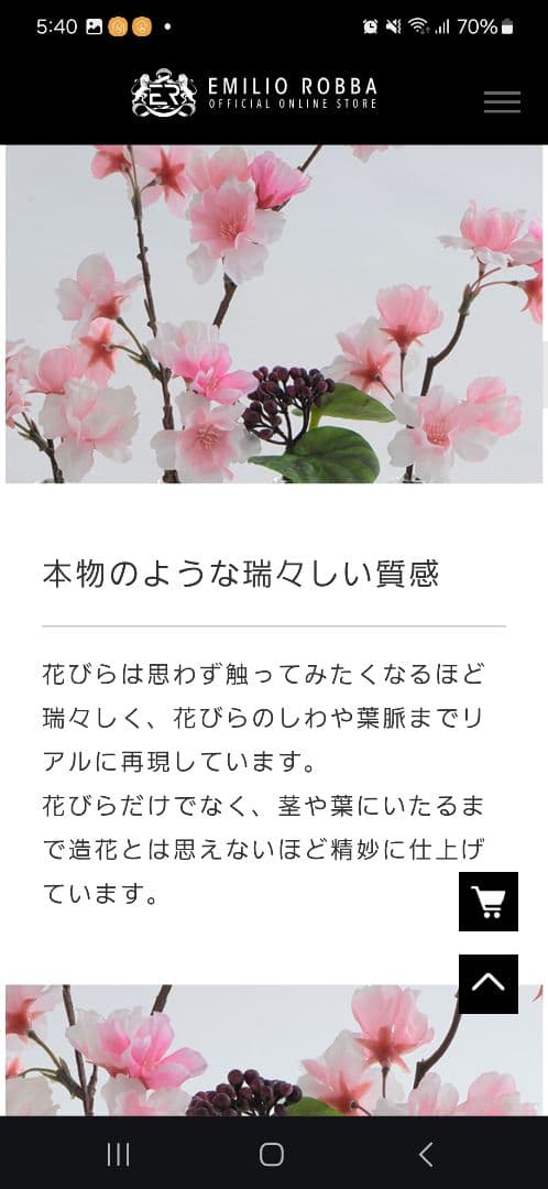 エミリオロバ　スプリングコレクション　サクラ　ソメイヨシノ　シキミア　ペペロミア