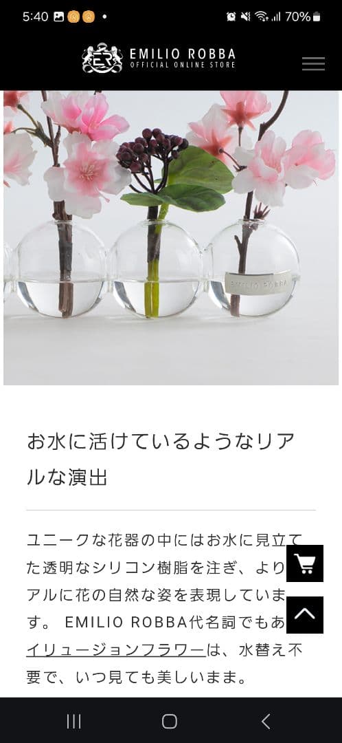 エミリオロバ　スプリングコレクション　サクラ　ソメイヨシノ　シキミア　ペペロミア