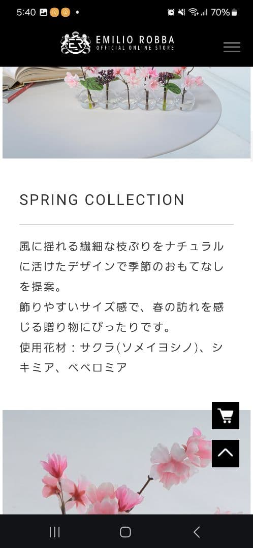 エミリオロバ　スプリングコレクション　サクラ　ソメイヨシノ　シキミア　ペペロミア
