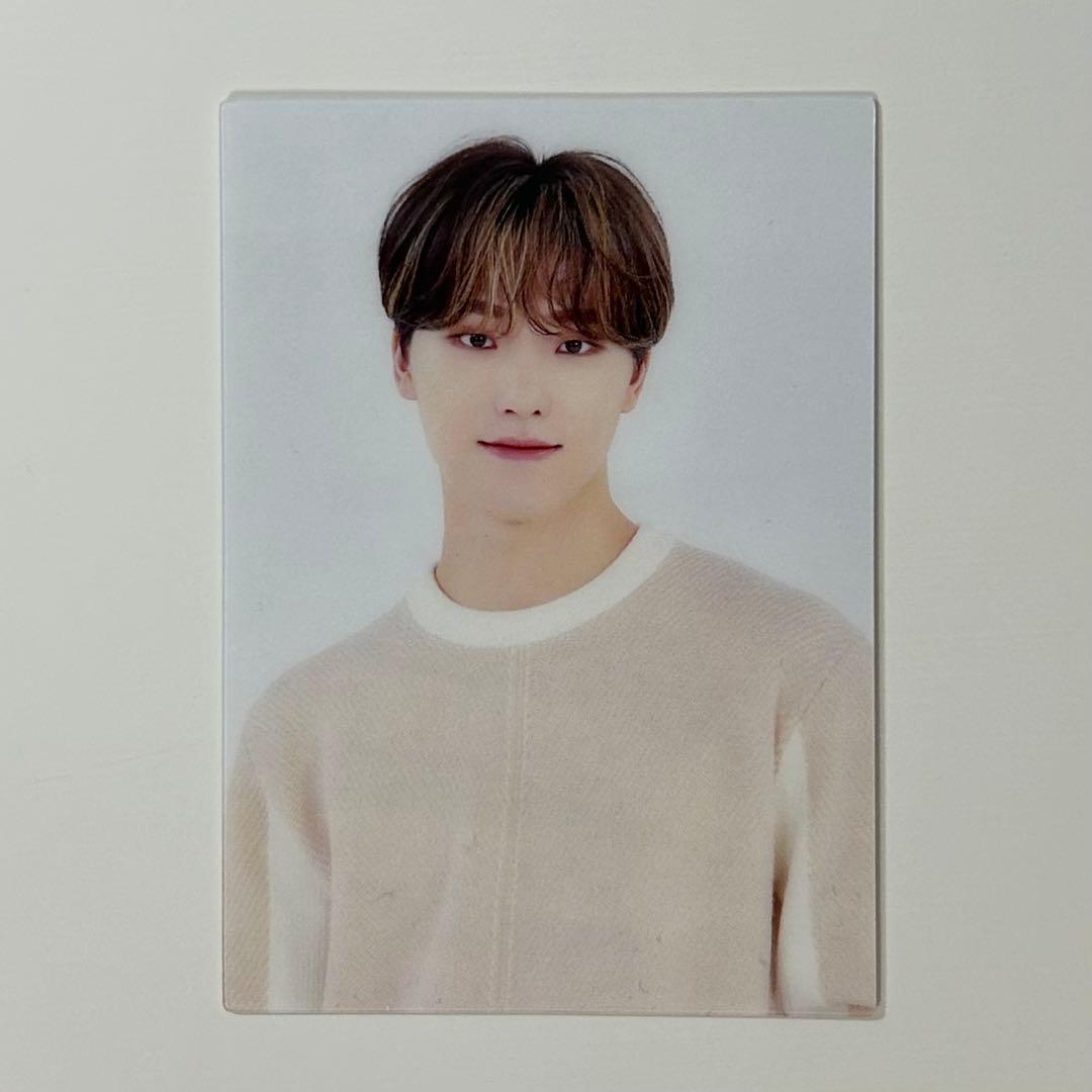 SEVENTEEN ディノ まとめ売り