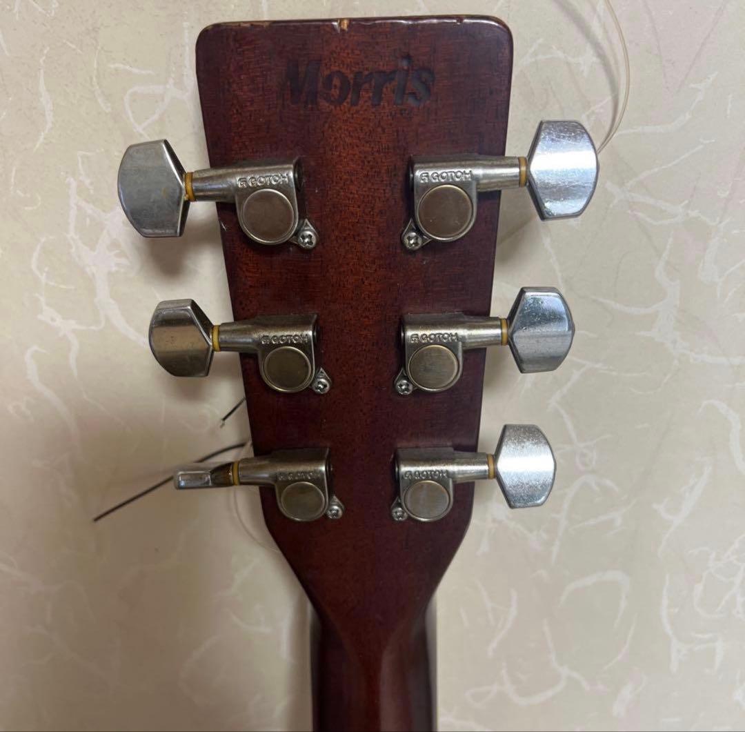 Morris ヴィンテージアコースティックギターTF