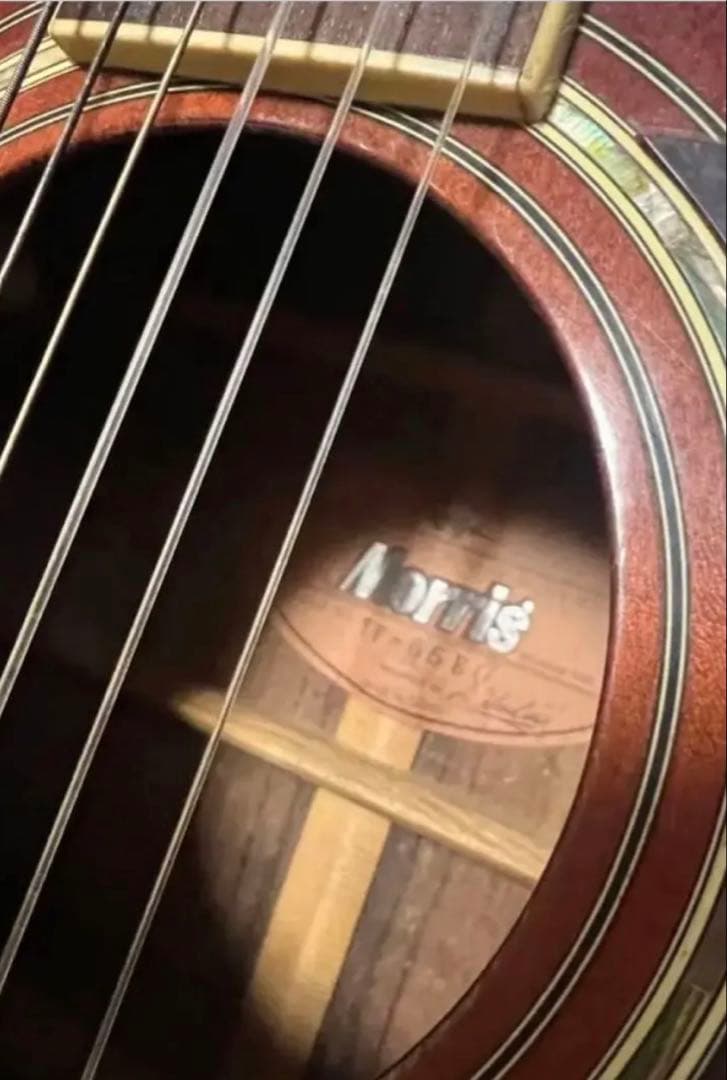 Morris ヴィンテージアコースティックギターTF