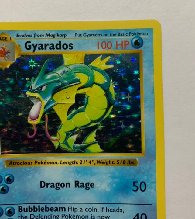 ポケモンカードゲーム 初期ギャラドス 英語版 シャドーレス