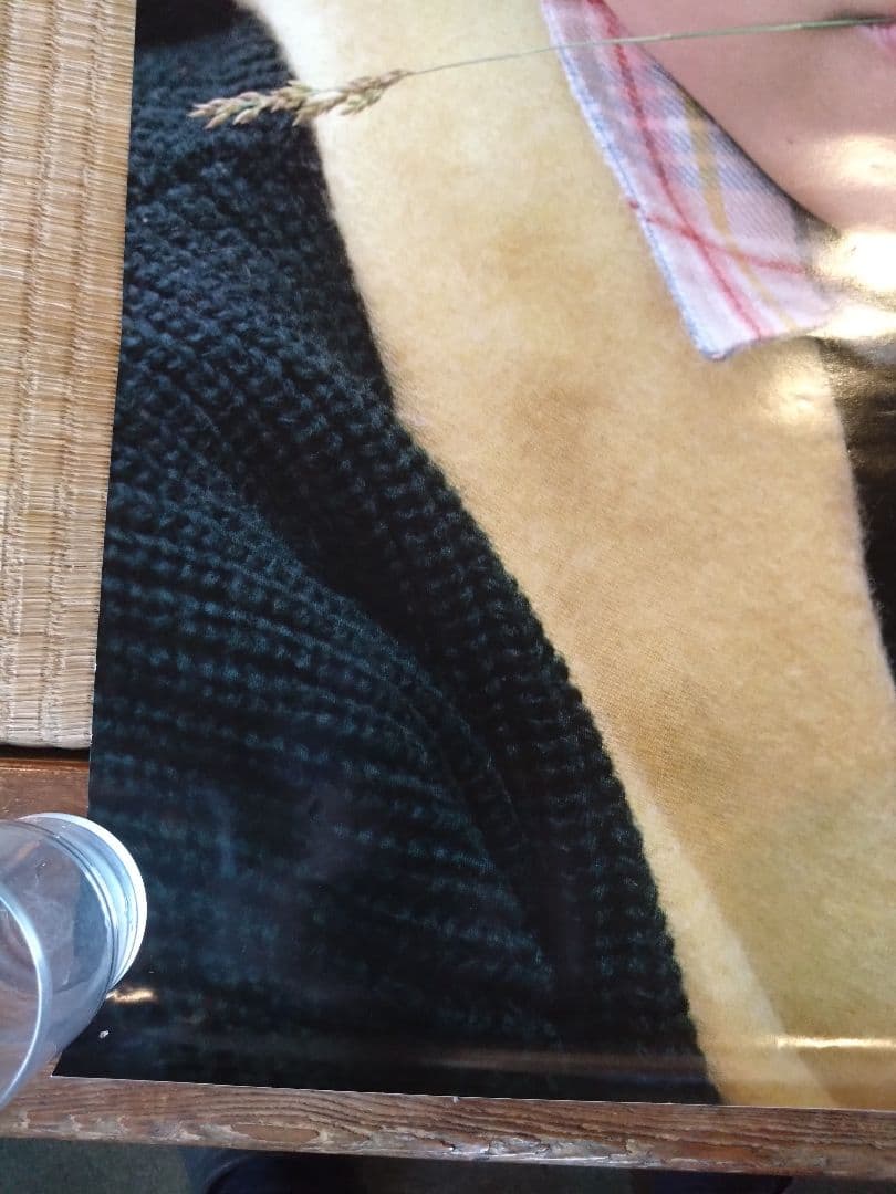 菊池桃子　ポスター 　３枚セット　資生堂　松竹