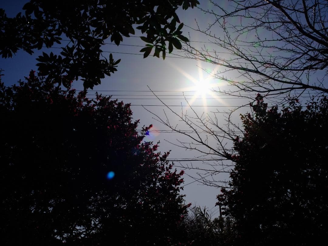 【テスト済】SMC PENTAX-A 645 55mm F2.8 365