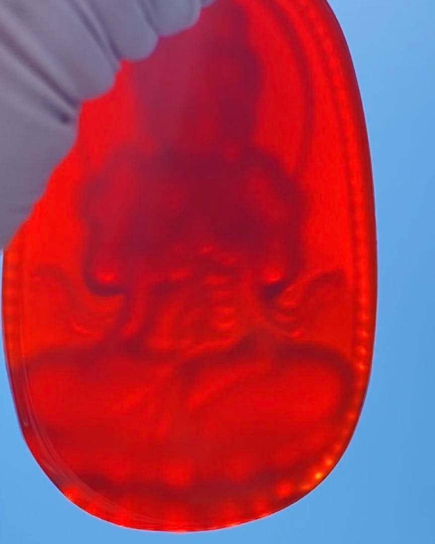 レッドアゲート紅瑪瑙観音彫刻ペンダント　天然石　高品質美しい赤色が印象的 お守り