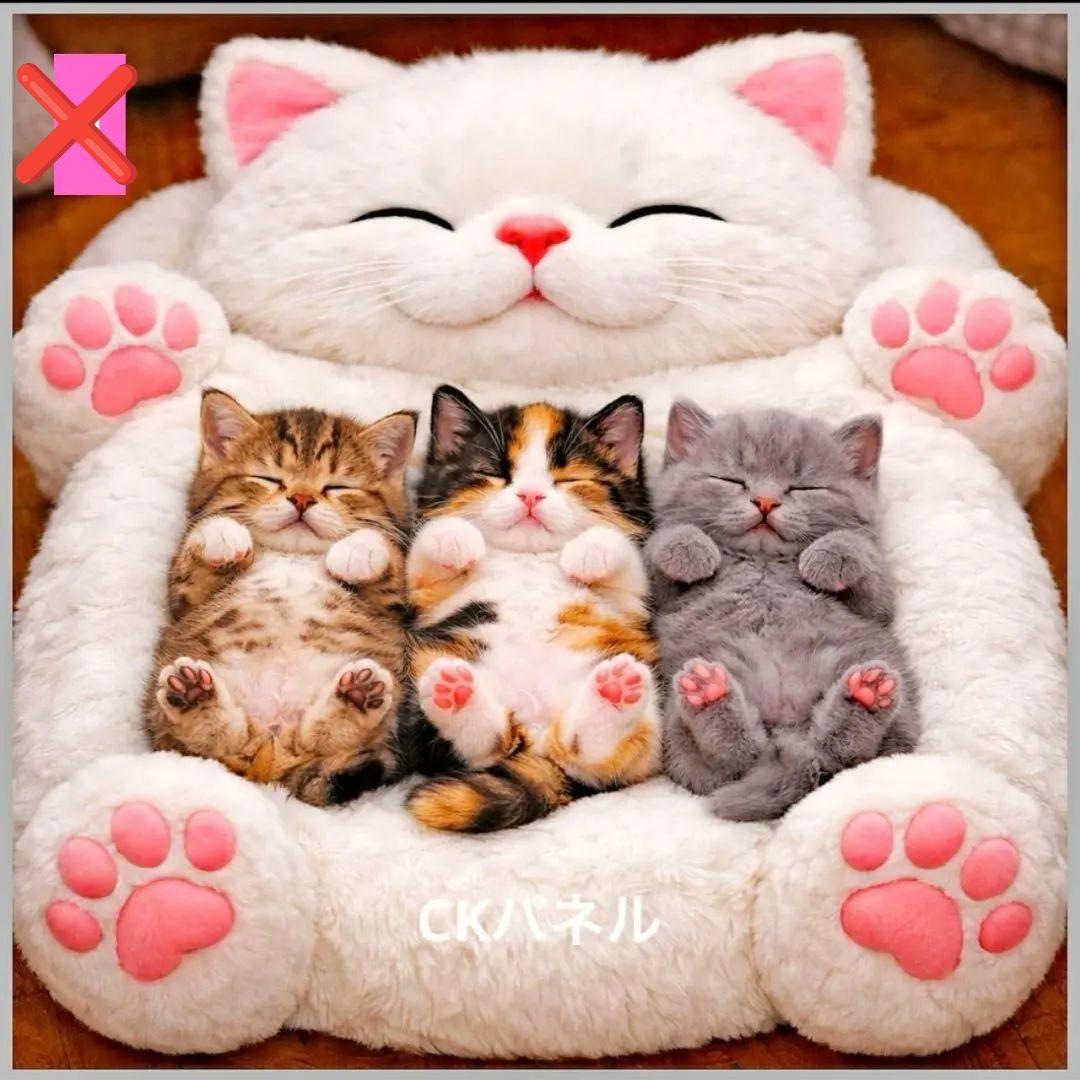 フラットポーチ1100円♥6重ガーゼハンカチ550円♥オーダー受け付け中