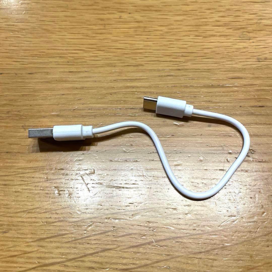 【純正品】Apple Pencil (第1世代) ホワイト 付属品あり