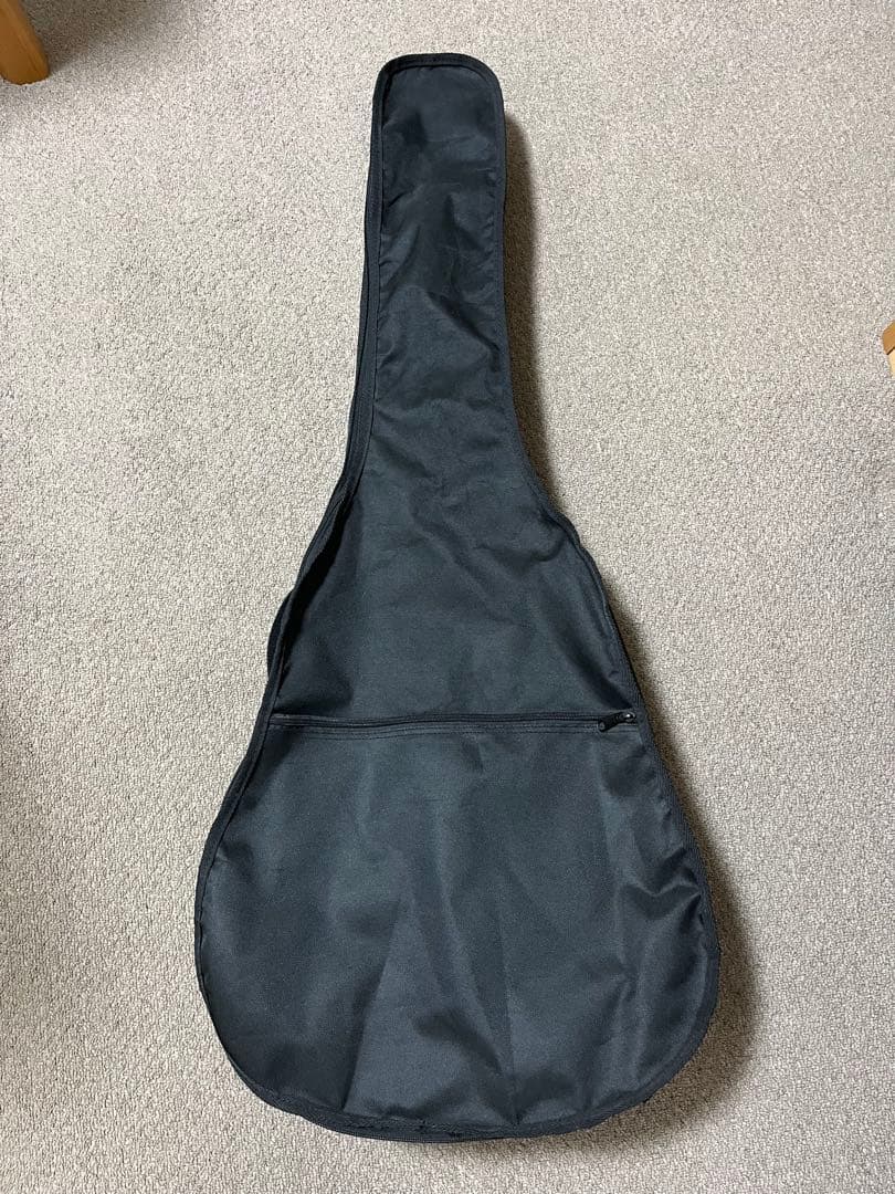 Takamine T-series T-P2 TBS 訳あり