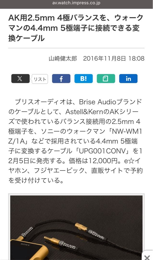 Brise Audio UPG001 CONV 変換ケーブル