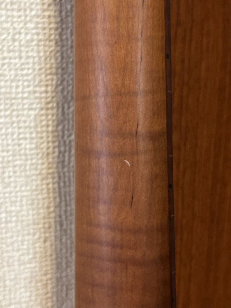 Bacchus BSM-STD/RSM GOTOHペグ バリトラ目ネック！