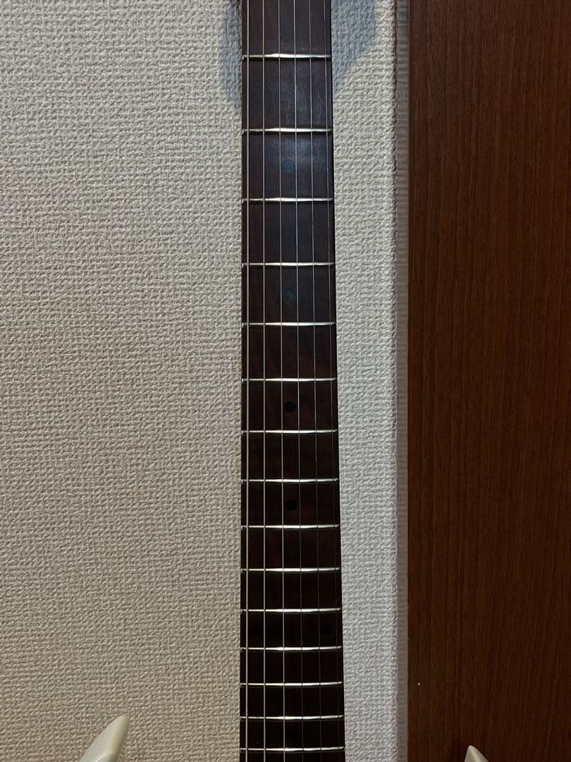 Bacchus BSM-STD/RSM GOTOHペグ バリトラ目ネック！