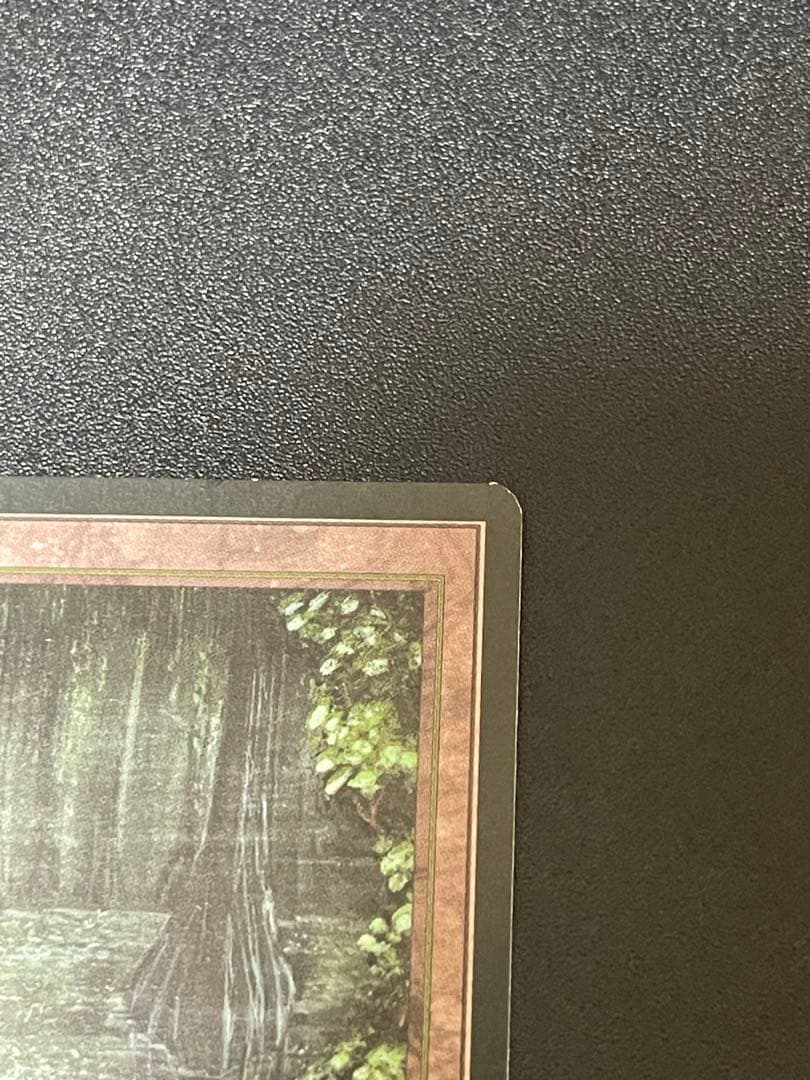 Bayou 黒枠 フランス語
