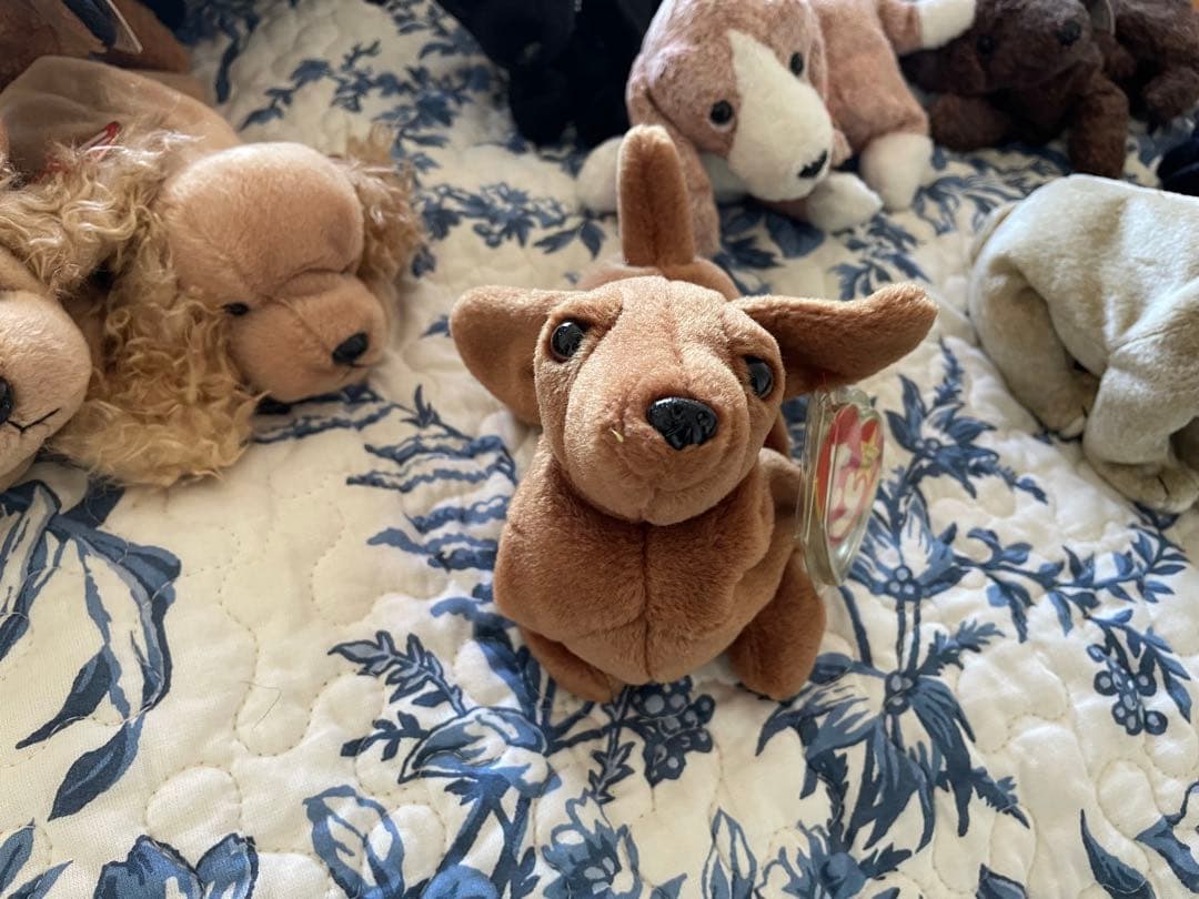 【大量！】ビーニーベイビーズ関連コレクターズアイテム