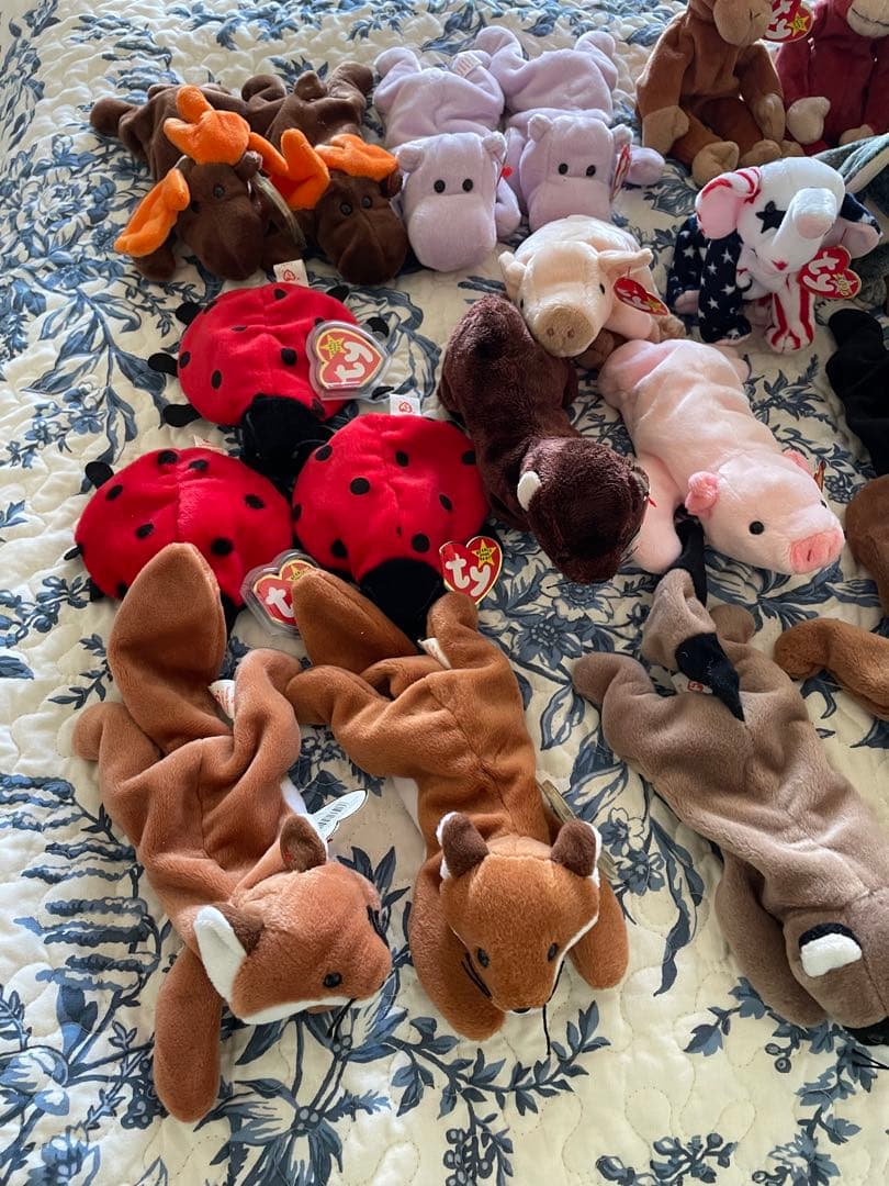 【大量！】ビーニーベイビーズ関連コレクターズアイテム