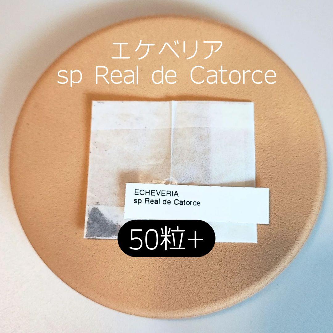 まる様 リクエスト 5点 まとめ商品