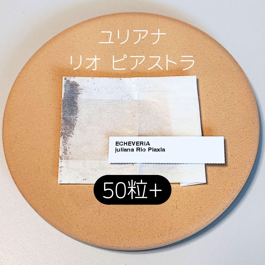 まる様 リクエスト 5点 まとめ商品