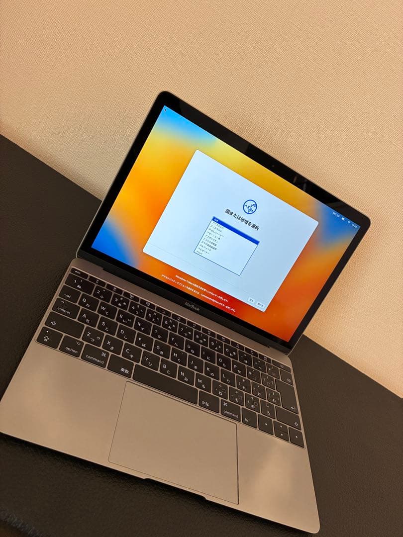 ジャンク品_MacBook 12インチ 2017（Core m3 /256GB）