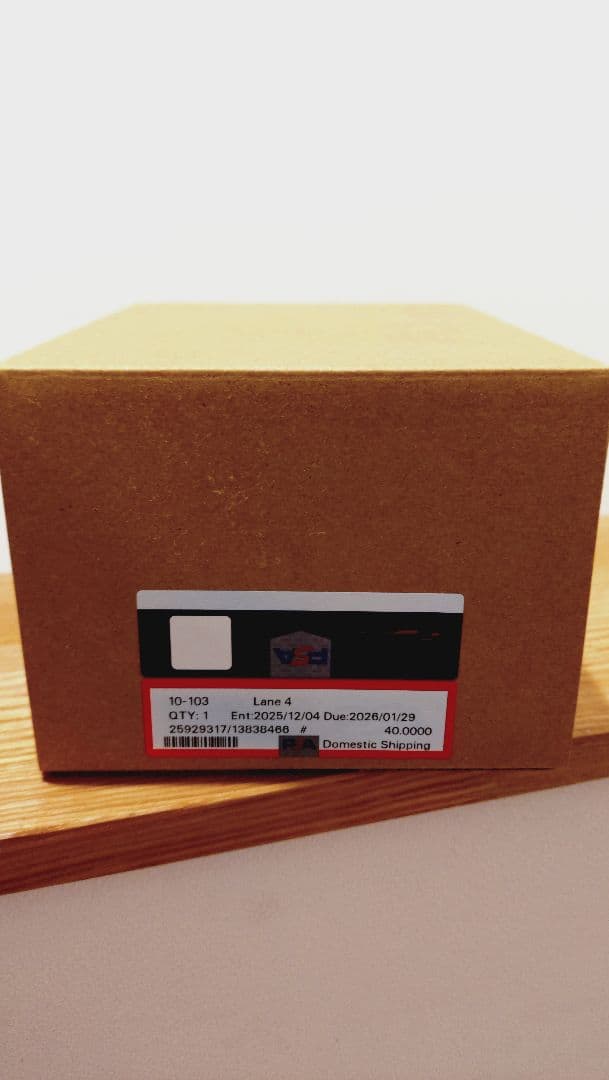 ブラッキーex SAR テラスタルフェスex 217/187　PSA10