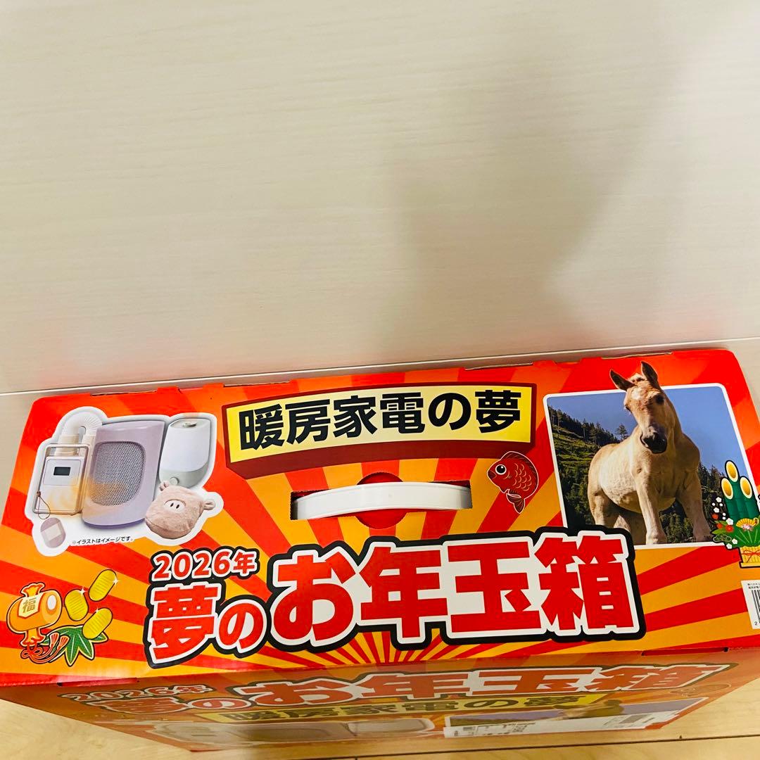 ヨドバシ　お年玉箱　福袋　暖房家電　布団乾燥機　加湿器　ヒーター