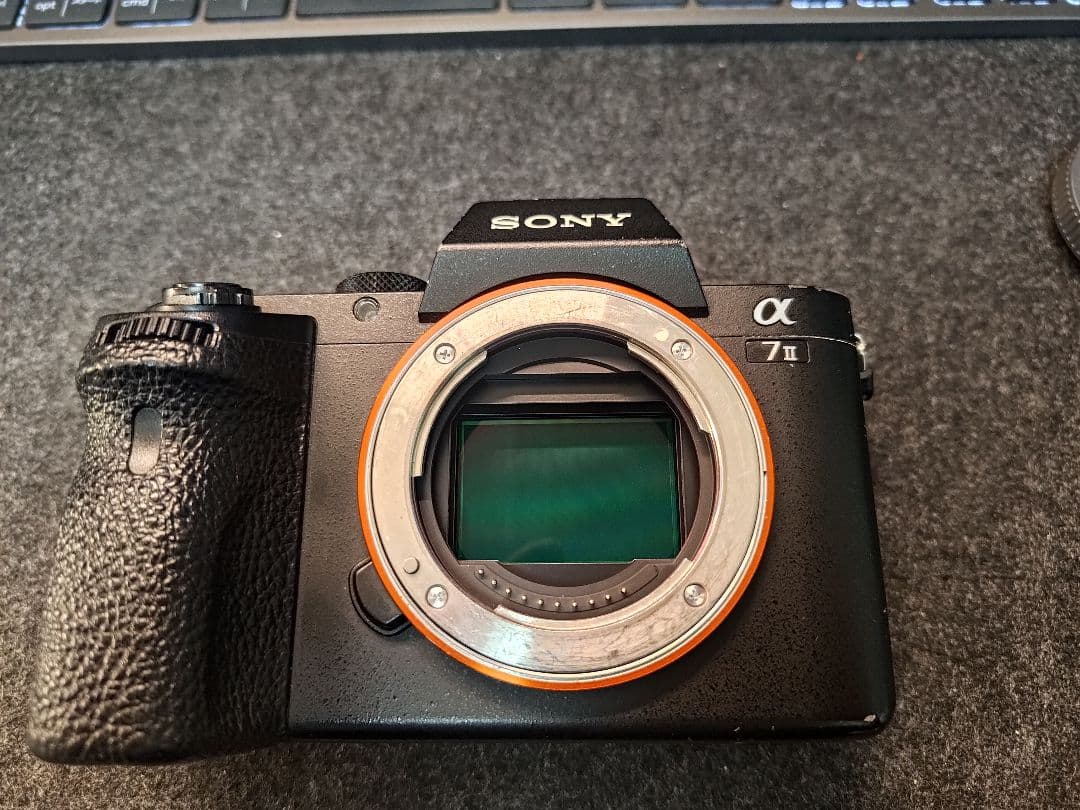 【水中撮影】ソニーSony α7IIミラーレス本体、Meikonハウジング
