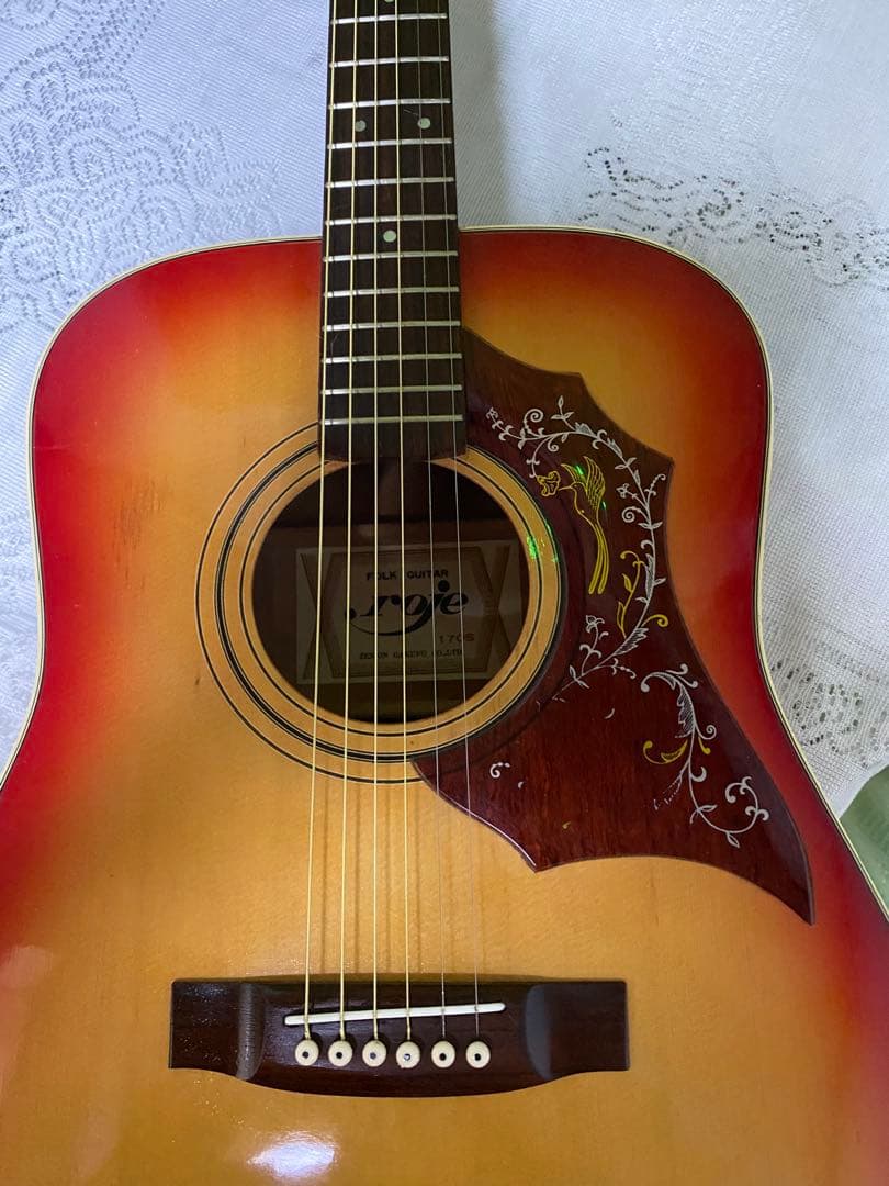 弾き語りしようぜ！　ハミングバードZenOn Roje エレアコ 音出良好