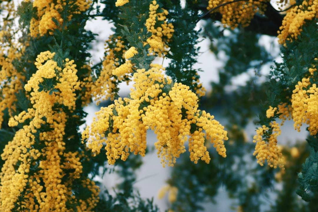 SONY α700、MINOLTA AF 24-50mm F4