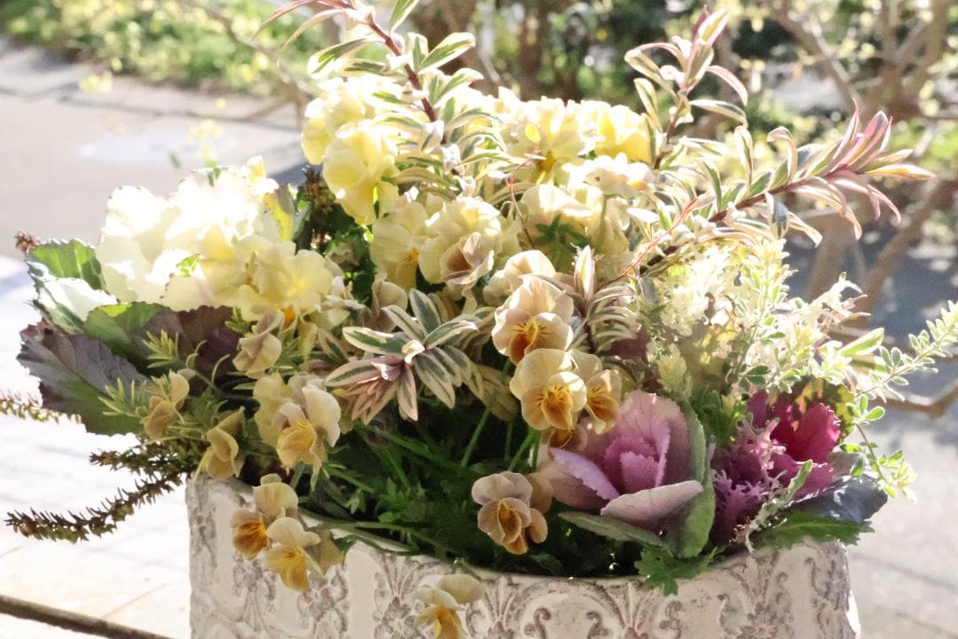 寄せ植え　花_NO.1154
