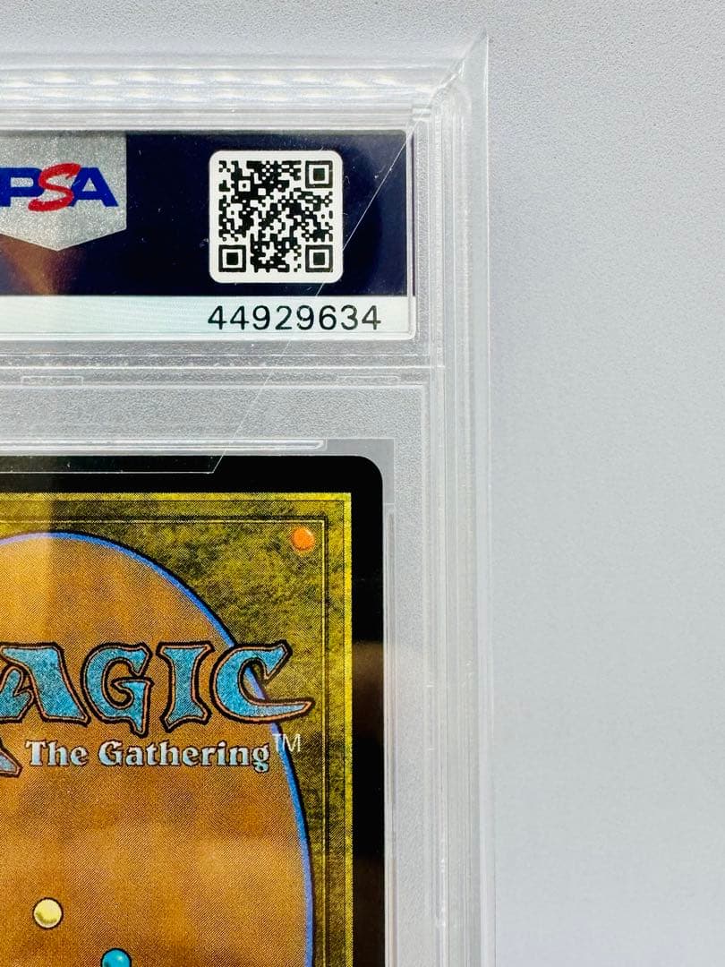 MTG 慈悲深きセラ 日本語 foil PSA10