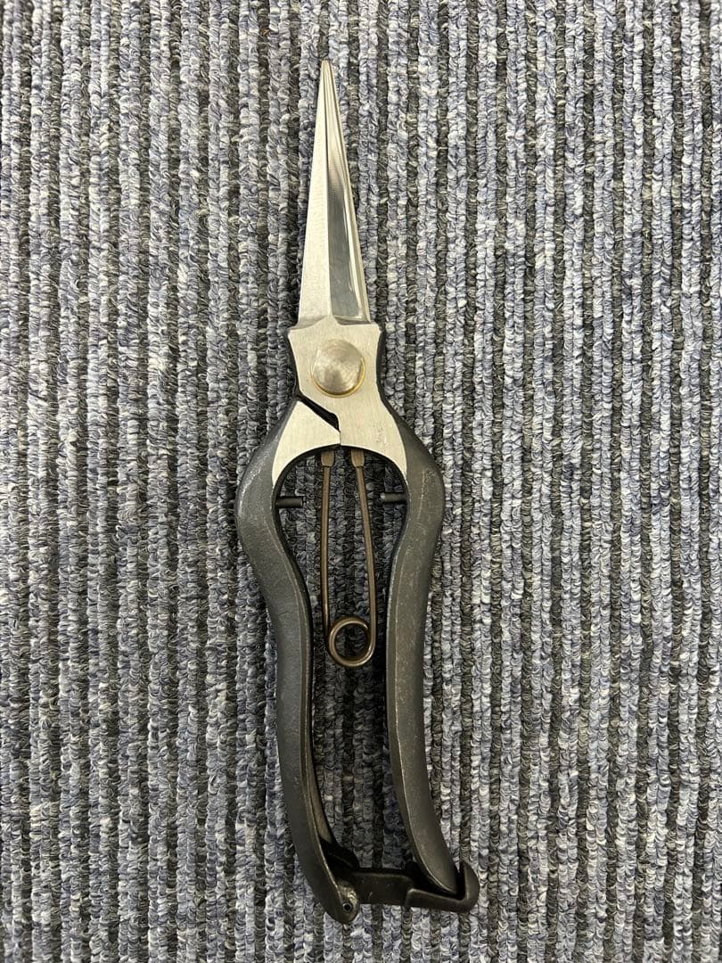 [2個セット] ステンレス両刃芽切鋏 [200mm] はさみ ハサミ 箱入り