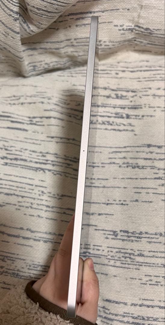 【美品】Apple M1 iPad Pro (11インチ) (第3世代)