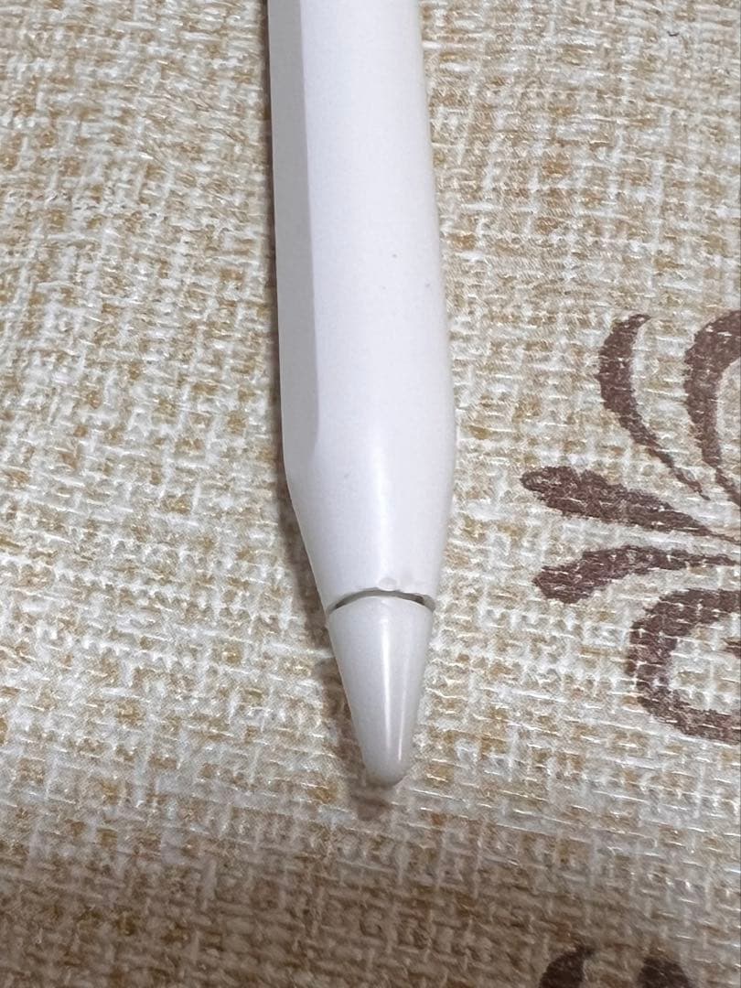 【美品】Apple M1 iPad Pro (11インチ) (第3世代)